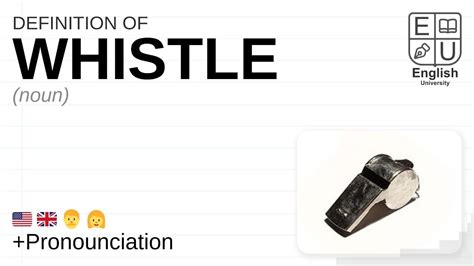 crap whistle meaning|WHISTLE .